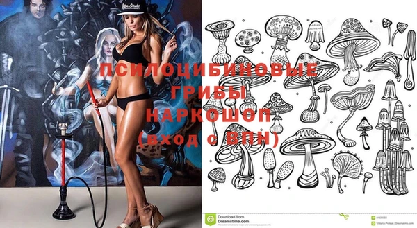 прущие грибы Алексин